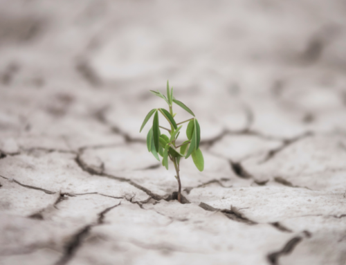 Are you experiencing challenges these days?